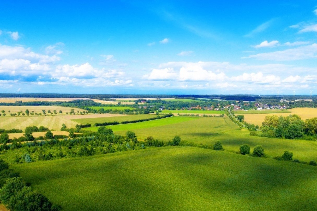 Beautiful plot of land with greenery